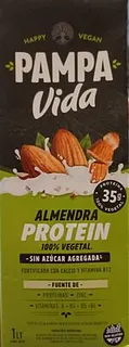 Leche de Almendras Protein x 1 lt (Pampa Vida)