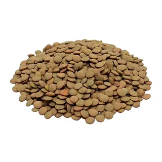 Lentejon x 5 kg (Generico)