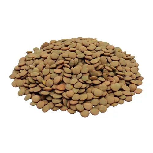 Lentejon x 5 kg (Generico)