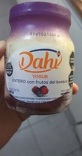 Yogur Entero con Frutos del Bosque (Dahi)