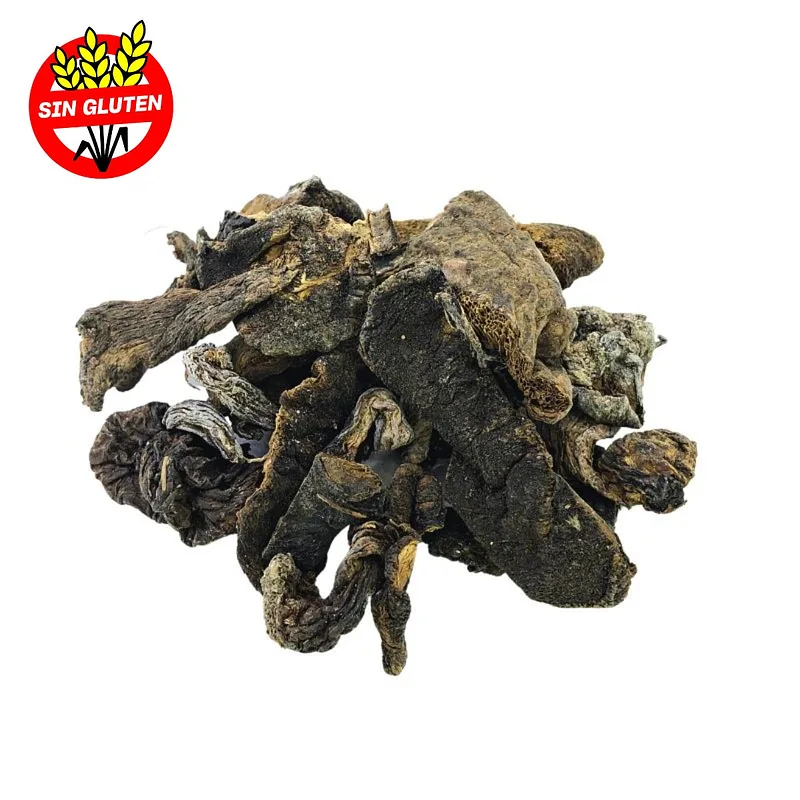 Hongos Boletus de Pino Chilenos x 1 kg (Generico)