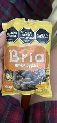Pocket de Chocolate, Coco y Almendras Saladas x 35 gr (Bria)