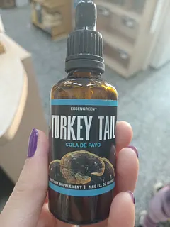 Turkey Tail x 50 ml (Essengreeen)