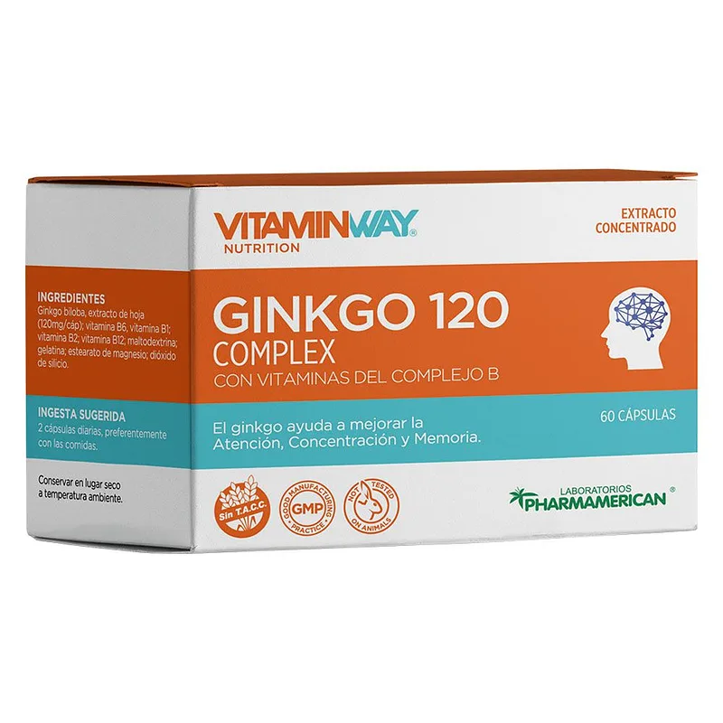 Ginkgo 120 Complex x 60 cap (Vitaminway)